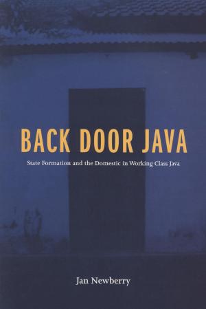 Cover of the book Back Door Java by Elisabeth  Gidengil, Andre Blais, Joanna Everitt, Patrick Fournier, Neil Nevitte