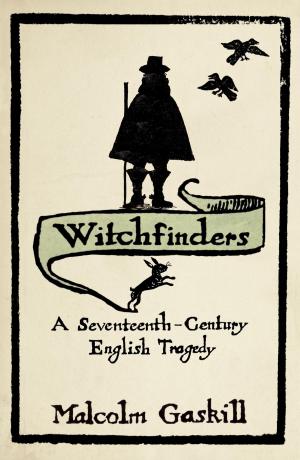 Book cover of Witchfinders