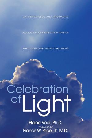 Cover of the book Celebration of Light by Karli Keefe