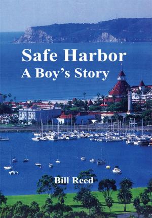 Cover of the book Safe Harbor by Eric K. Gale