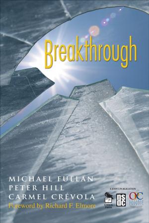 Cover of the book Breakthrough by Leonard Bickman, Ms. Debra J. Rog, Terry E. Hedrick