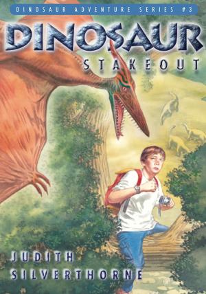 Cover of the book Dinosaur Stakeout by B.D. Knight