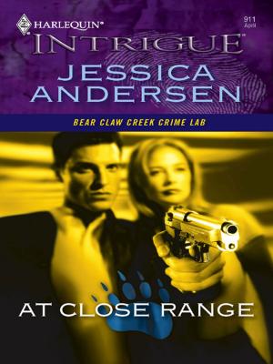 Cover of the book At Close Range by Sandra Chastain