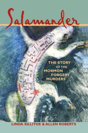 Cover of the book Salamander by Linda Sillitoe