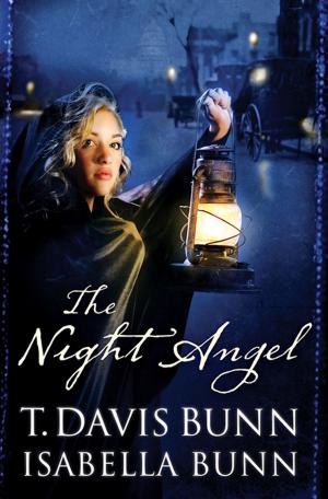 Cover of the book Night Angel, The (Heirs of Acadia Book #4) by Elmer L. Towns, Ed Stetzer, Warren Bird