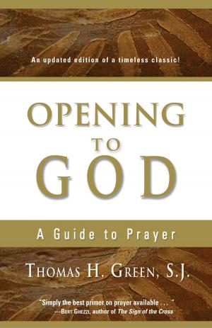 Cover of the book Opening to God by William J. O'Malley S.J.