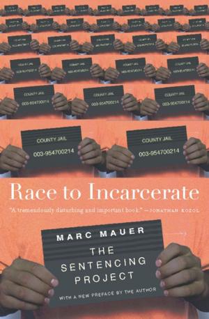 Book cover of Race to Incarcerate