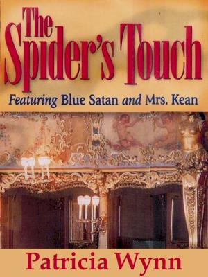 Cover of the book The Spider's Touch by Carola Dunn