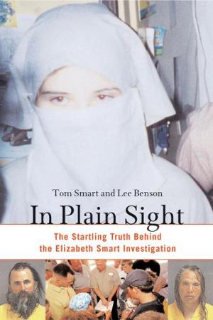 Cover of the book In Plain Sight by Krystyna Goddu