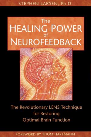 Cover of the book The Healing Power of Neurofeedback by Jayne Seed