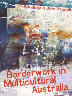 Book cover of Borderwork in Multicultural Australia