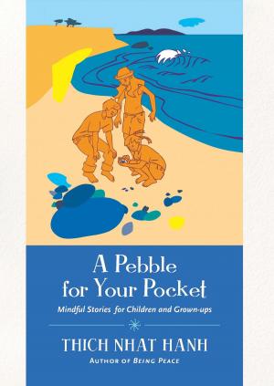 Cover of the book A Pebble for Your Pocket by Brooke Rothshank
