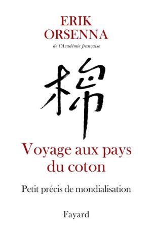 Cover of the book Voyage aux pays du coton by Yann Queffélec