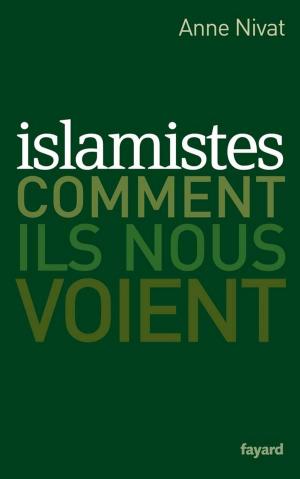 Book cover of Islamistes : comment ils nous voient