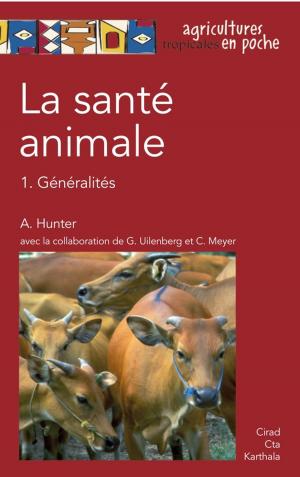 Cover of the book La santé animale by Jean-François Desessard, Sophie Nicklaus