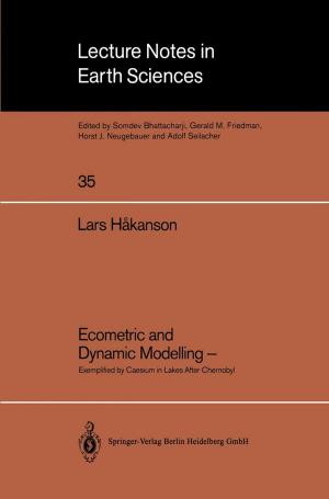 Cover of the book Ecometric and Dynamic Modelling — by Uta Gaidys, Joachim Westenhöfer, Corinna Petersen-Ewert, Katrin Kern, Johanna Buchcik