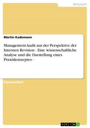 Cover of the book Management Audit aus der Perspektive der Internen Revision - Eine wissenschaftliche Analyse und die Darstellung eines Praxiskonzeptes - by Timo Werner