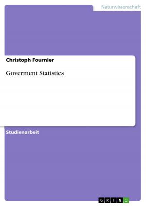 Cover of the book Goverment Statistics by Jörg Mußmann, Maria Oliveira-Mußmann
