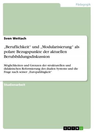 Cover of the book 'Beruflichkeit' und 'Modularisierung' als polare Bezugspunkte der aktuellen Berufsbildungsdiskussion by Christian Wunschik