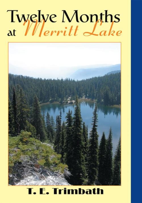 Cover of the book Twelve Months at Merritt Lake by Thomas Edward Trimbath, iUniverse