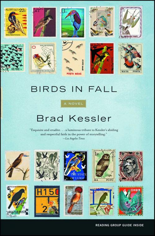 Cover of the book Birds in Fall by Brad Kessler, Scribner