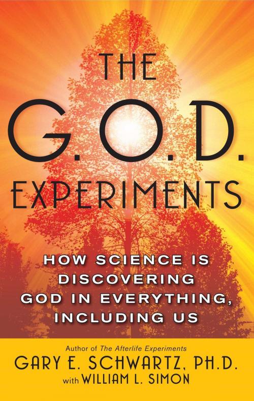 Cover of the book The G.O.D. Experiments by Gary E. Schwartz, Ph.D., Atria Books