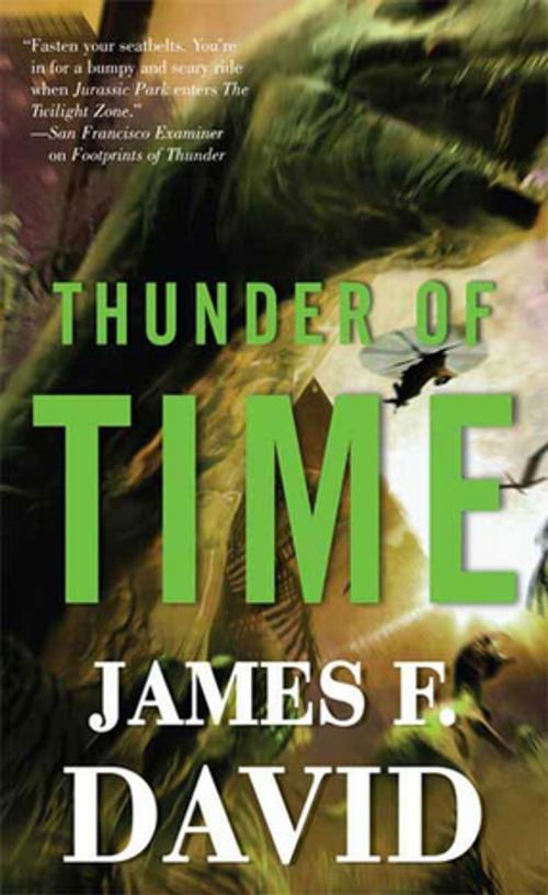 Cover of the book Thunder of Time by James F. David, Tom Doherty Associates