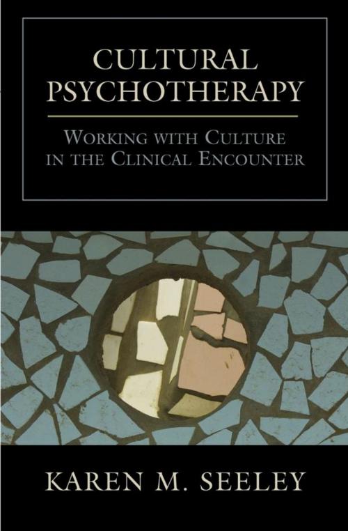 Cover of the book Cultural Psychotherapy by Karen M. Seeley, Jason Aronson, Inc.
