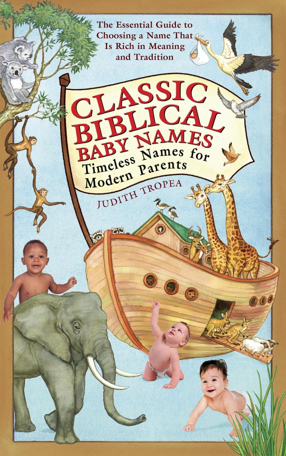 Big bigCover of Classic Biblical Baby Names