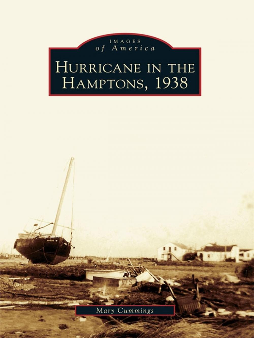 Big bigCover of Hurricane in the Hamptons, 1938