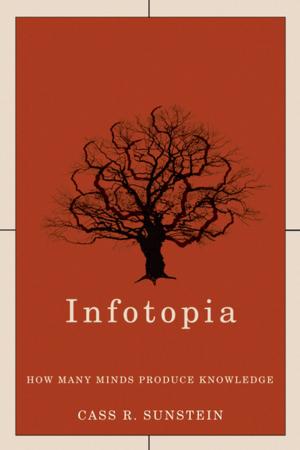 Cover of the book Infotopia by Lars Fogelin