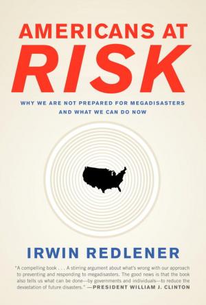 Cover of the book Americans at Risk by Ned Beauman