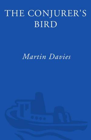 Cover of the book The Conjurer's Bird by Mathilde de Jamblinne