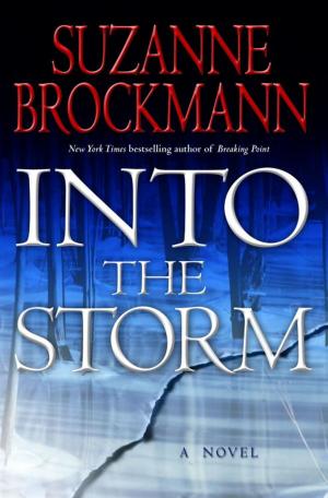 Cover of the book Into the Storm by Salman Rushdie