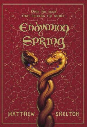 Cover of the book Endymion Spring by Amelia Atwater-Rhodes
