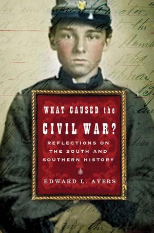 Cover of the book What Caused the Civil War?: Reflections on the South and Southern History by Adrienne Rich