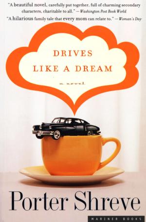 Cover of the book Drives Like a Dream by Maureen Kelly