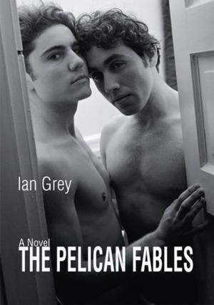 Cover of the book The Pelican Fables by M. Dwayne Jones