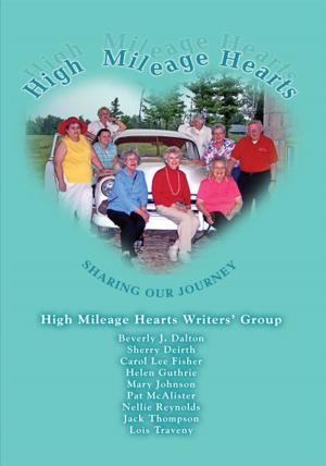 Cover of the book High Mileage Hearts by Dina Patel