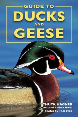 Cover of the book Guide to Ducks and Geese by Jonathan Kline