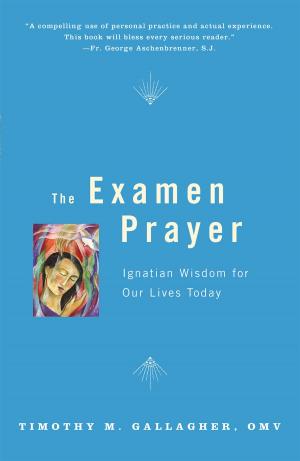 Cover of the book The Examen Prayer by Richard Rohr, Andreas Ebert