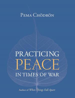 Book cover of Practicing Peace in Times of War