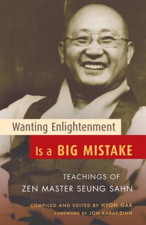 Cover of the book Wanting Enlightenment Is a Big Mistake by David Richo