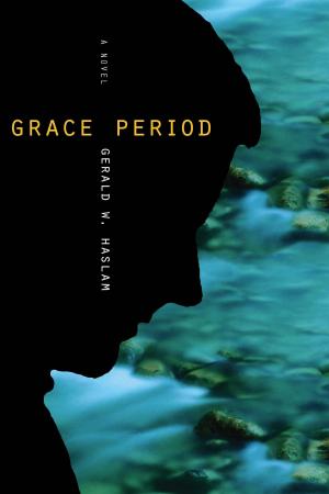 Cover of the book Grace Period by Alan Balboni