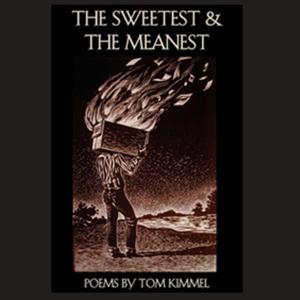 Cover of the book The Sweetest and The Meanest by BRIAN LEWIS