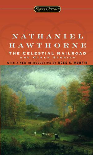 Cover of the book The Celestial Railroad and Other Stories by Stephen Dobyns