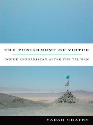 Cover of the book The Punishment of Virtue by Andy Hall