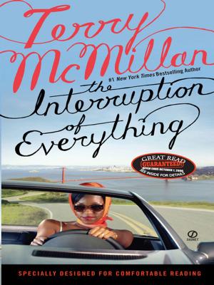Cover of the book The Interruption of Everything by Iain Pears