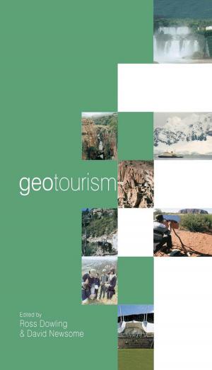 Cover of the book Geotourism by Morton Halperin, Joe Siegle, Michael Weinstein