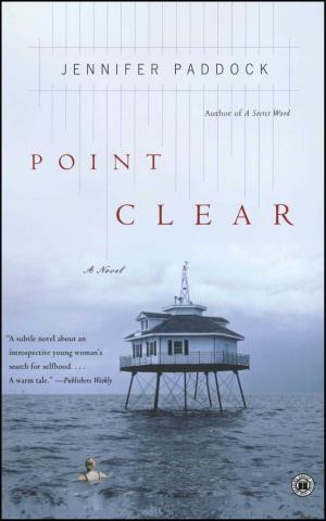 Cover of the book Point Clear by Rich Fettke